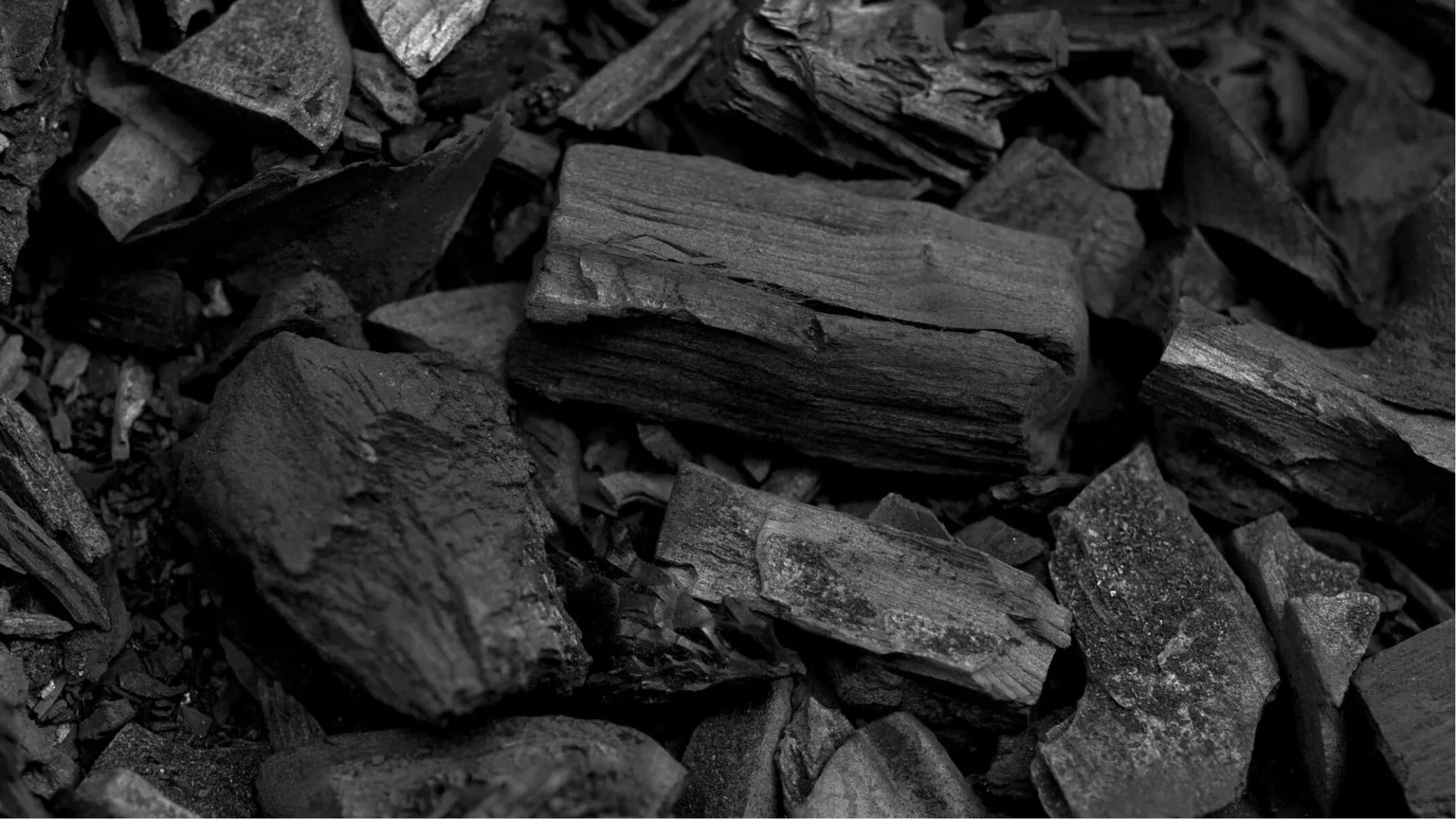 Carbón: se espera que la demanda mundial alcance un récord histórico en 2025